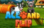 Ace and Flip