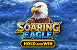 Soaring Eagle